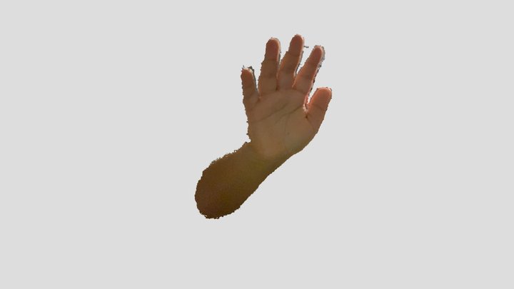 Hand 3D Model