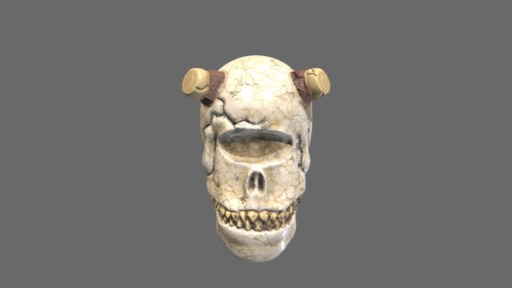Skull_01 (20-21) 3D Model