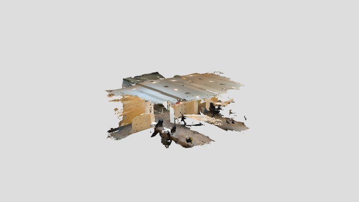 Rouge Scan 3D Model