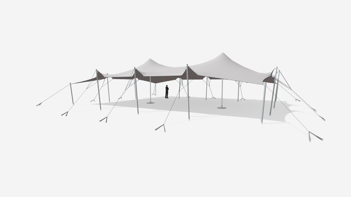 Elegant freeform canopy