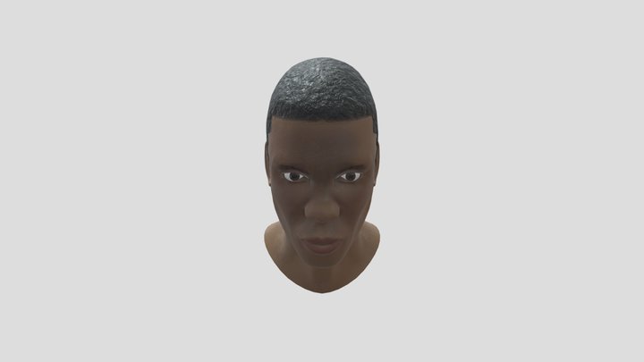 C. Rock 3D Model