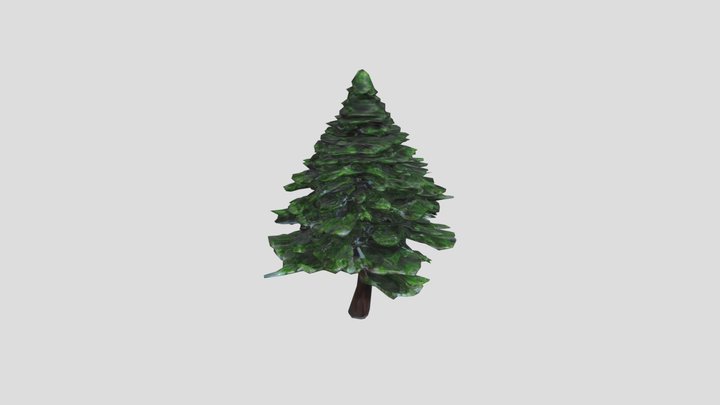 Sugi__conifer_of_th_obj 3D Model