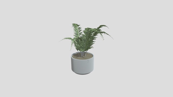 Fern – Modelo 3D gratuito STL