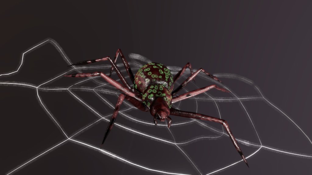 Spider