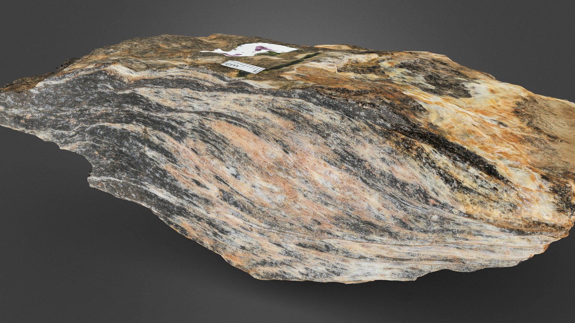 DalEES_Struc_Flt005 — Sketchfab embed 3D viewer