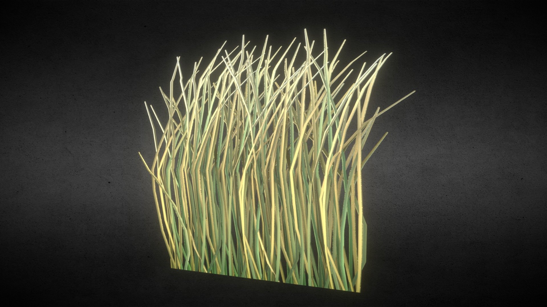 Grass