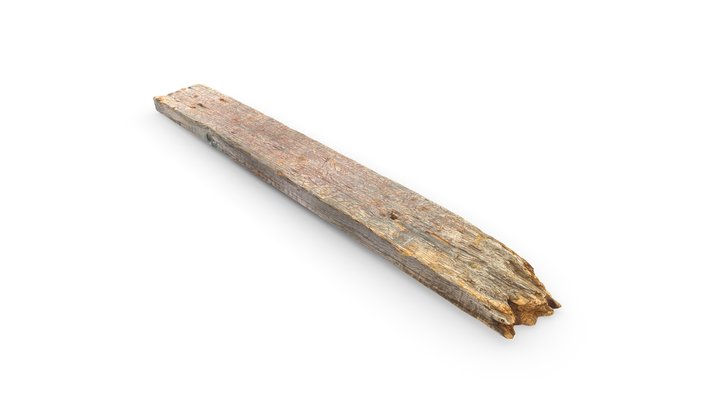Old Board with Nails 3D Model