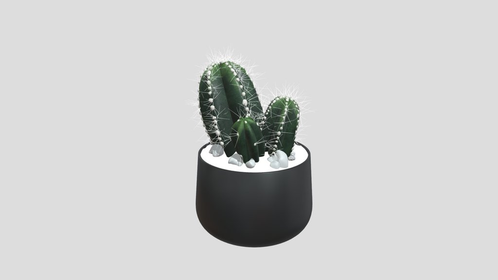 Modern Trio Cactus Pot