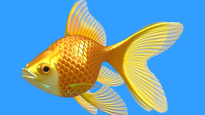goldfish 3D Model