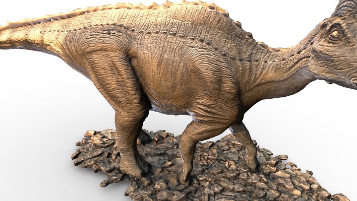 Амурозавр Рябинина | Amurosaurus riabinini 3D Model