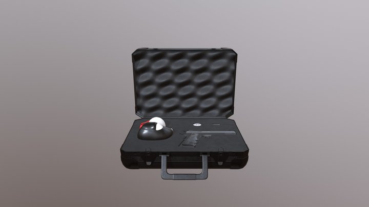 Hitman-Case 3D Model