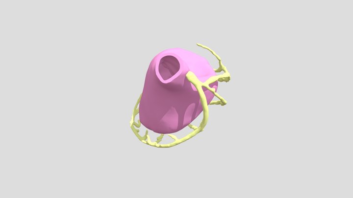Heart 3D Model