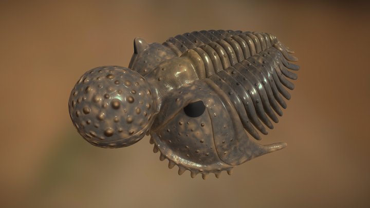 trilobite Staurocephalus murchisoni 3D Model