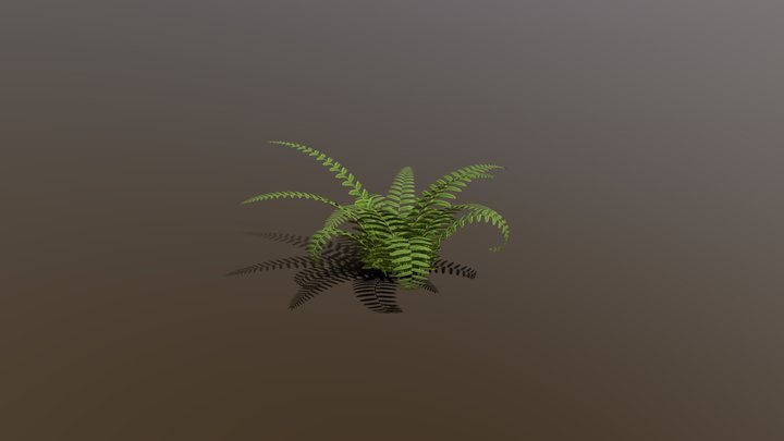 FernBush 3D Model