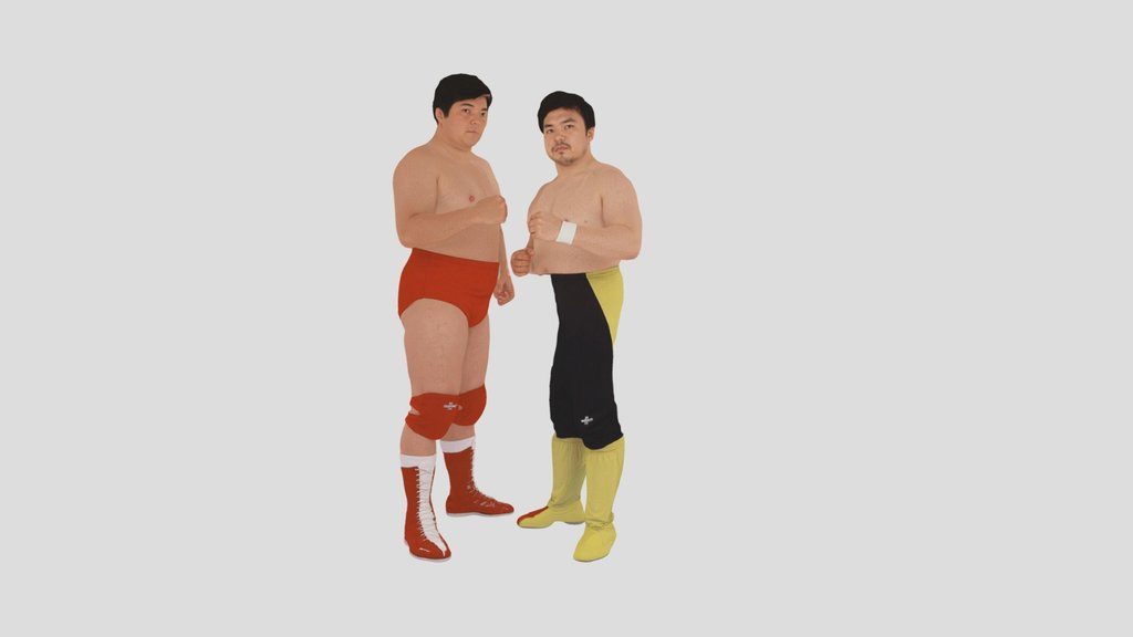 ProWrestling