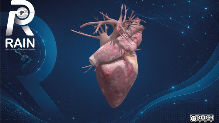 Corazón – Free 3D Model STL