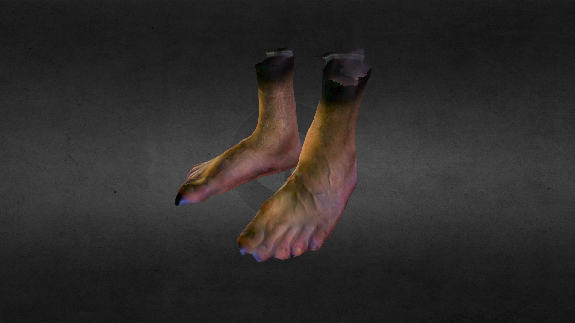 Sam foot. Foot 3d model. High quality 3d feet. Feet 3d model Test.