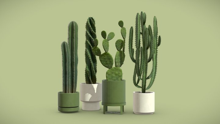 Cactus Pack 02 3D Model