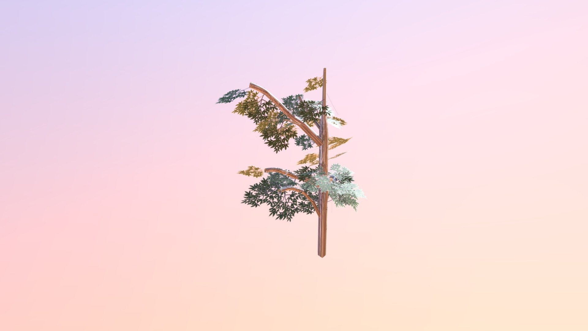 Tree Textured