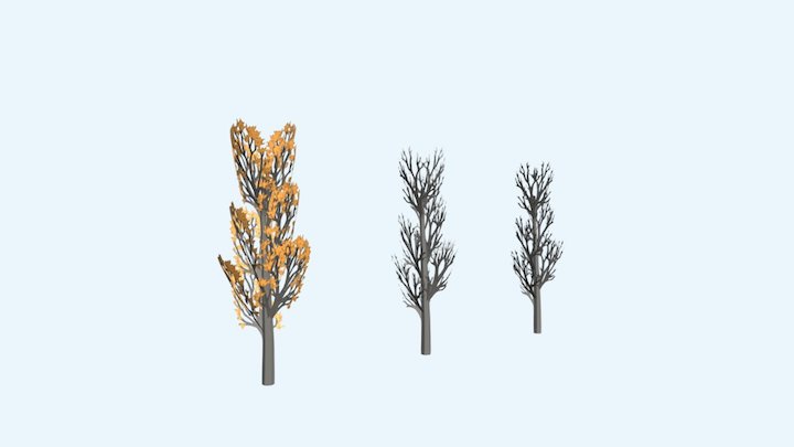 Long Branch Trees 3D Model