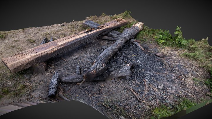 Bonfire 3d scan 3D Model