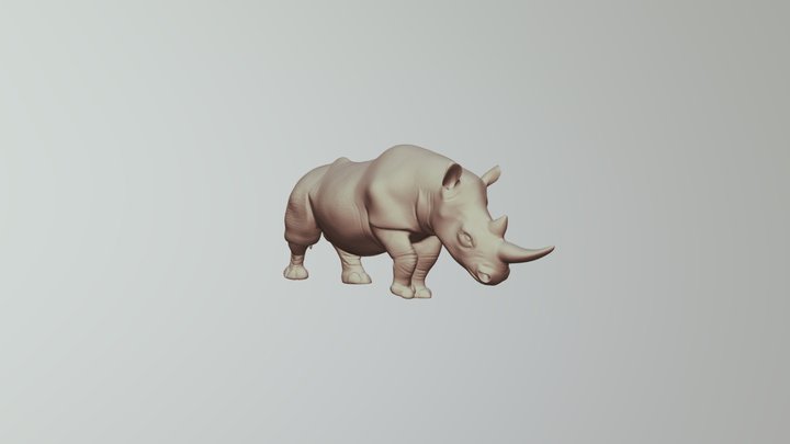 Hi-poly rhino 3D Model