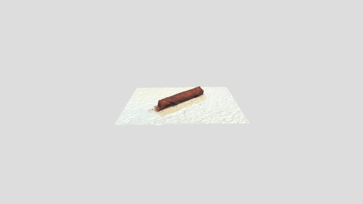 3D scan v1 3D Model