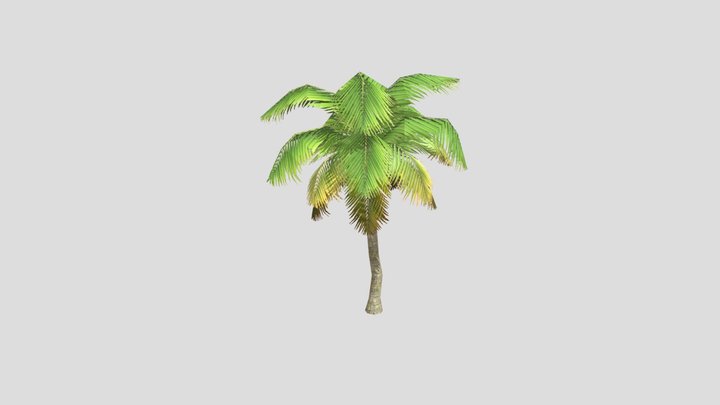 palm 3D Model