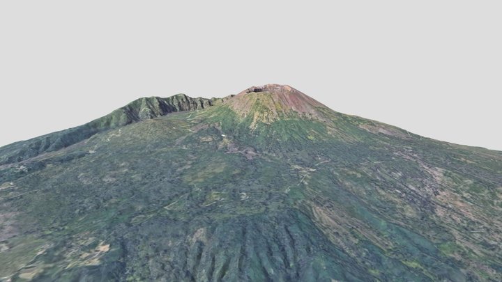MOUNT VESUVIUS 3D Model