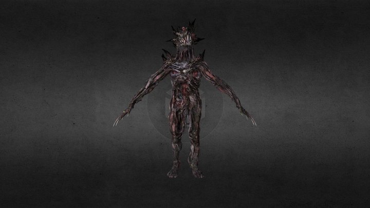 Molded 3D Model