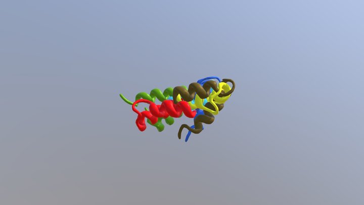 Proteins 3D Model
