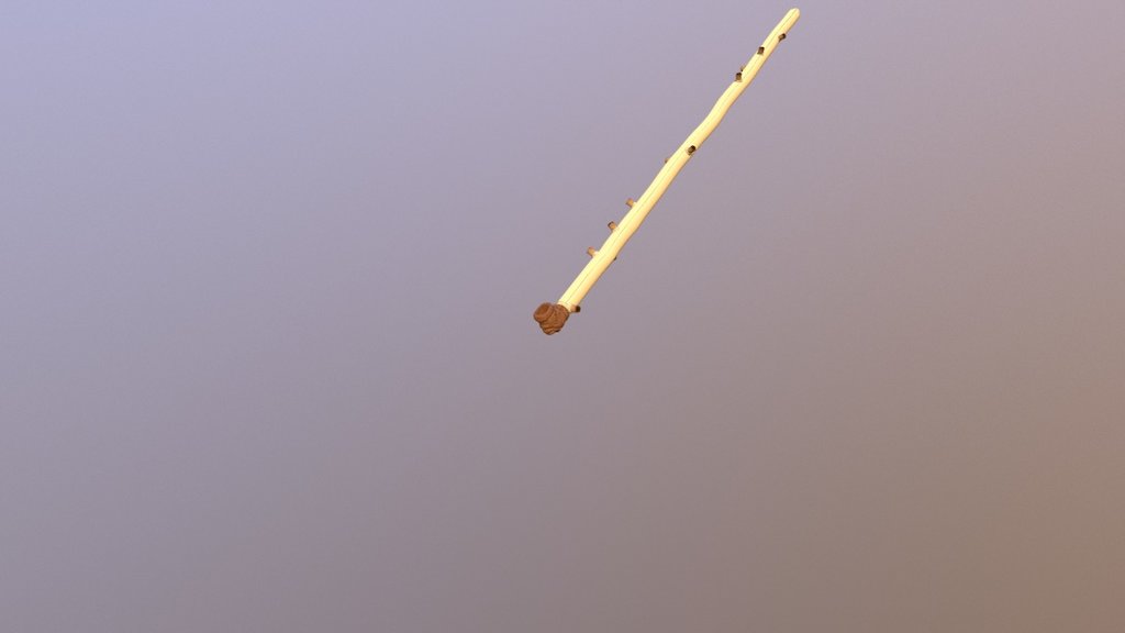 Sebssi 4