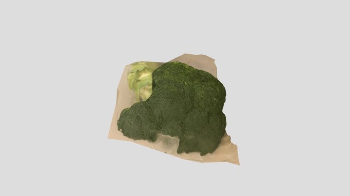 brokkoli 3D Model