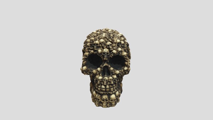 Photogrammetry - Skull made of skulls 3D Model