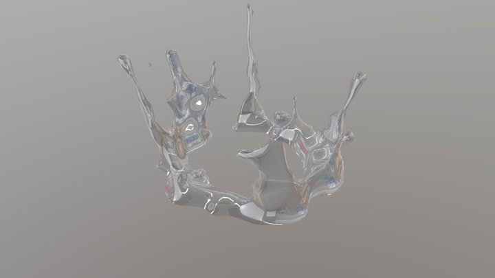 splash 3D Model