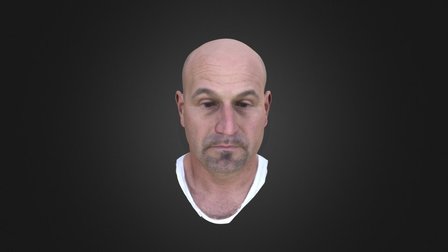 RandyHead-L3 3D Model