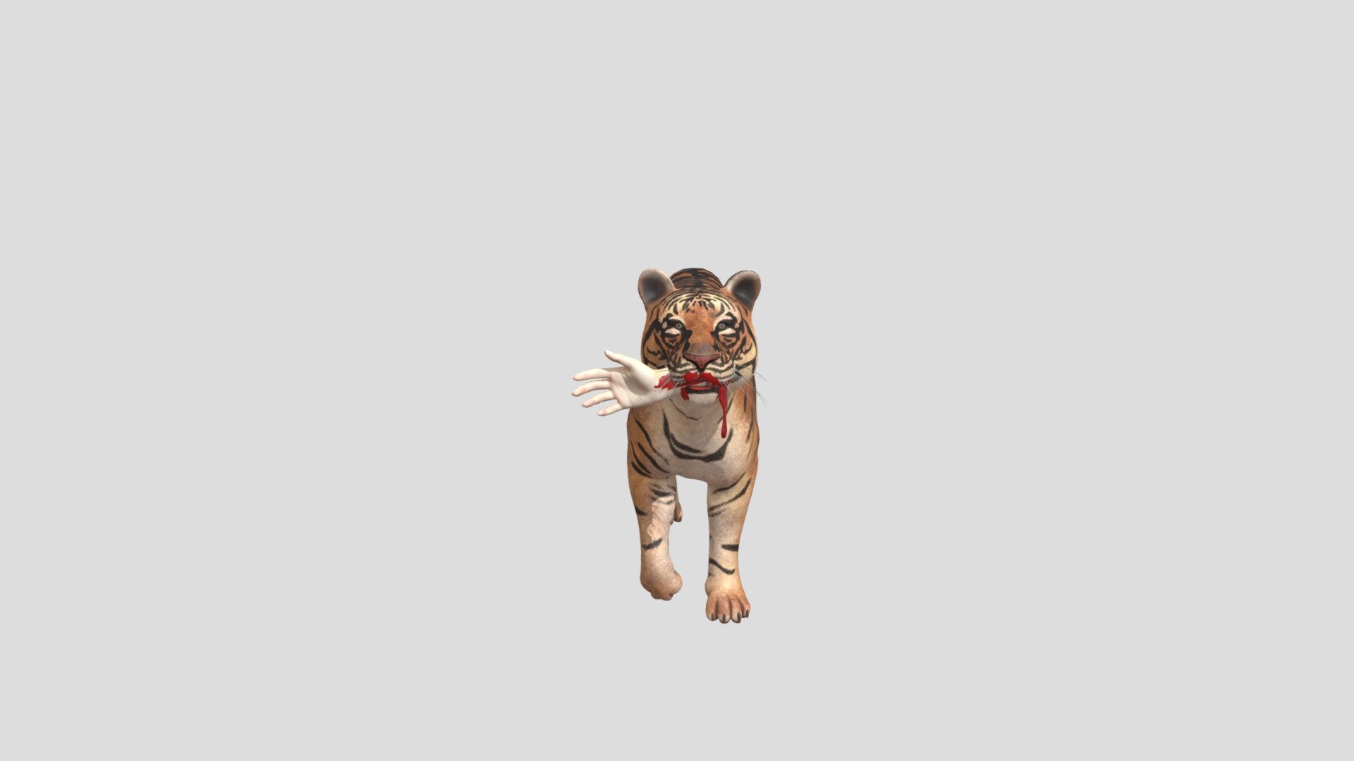 Tiger with human hand