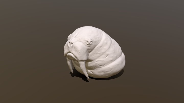 Walrus 3D Model