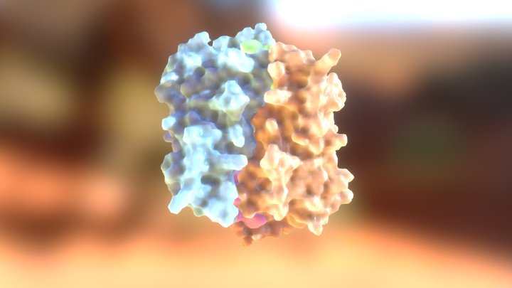 NQO1 Holo Form 3D Model
