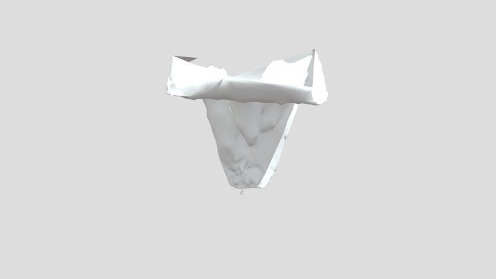 624230014_tanjiro 3D Model