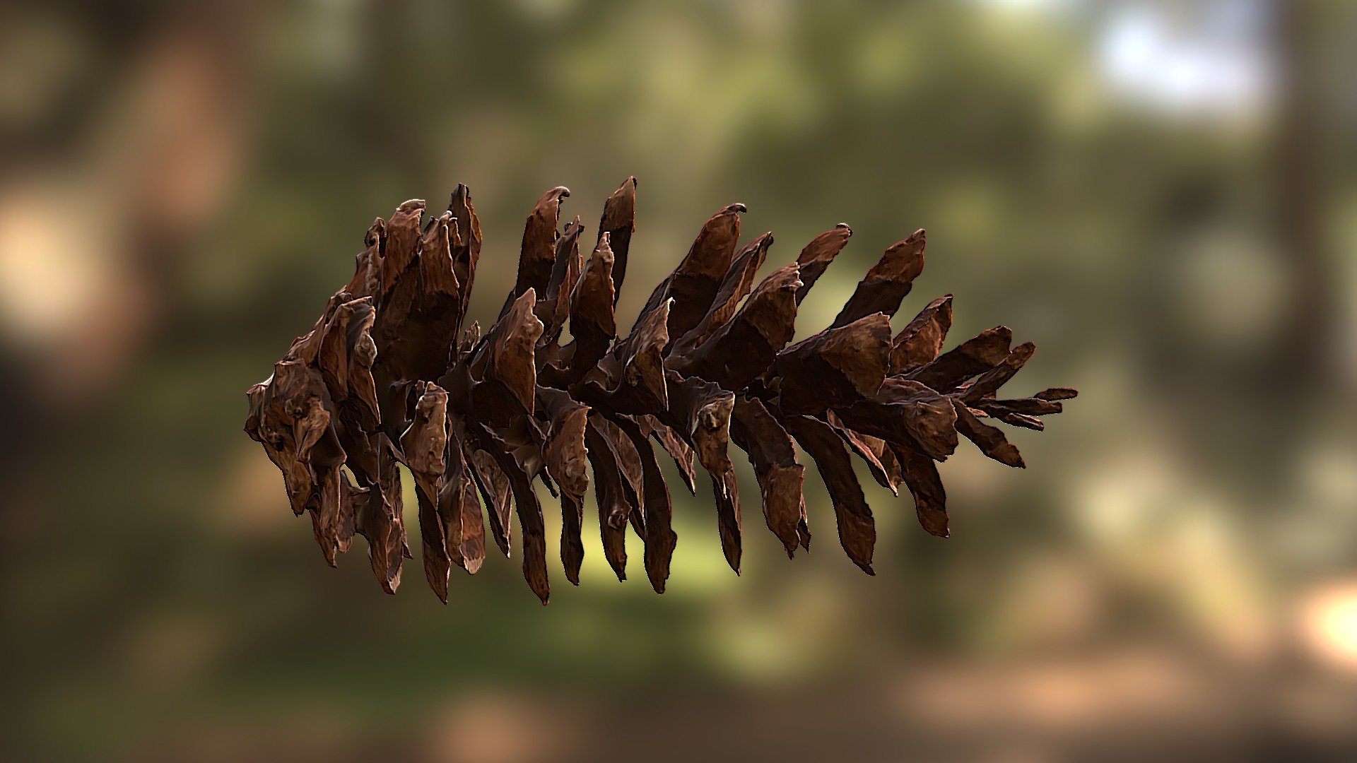 kongle test RC