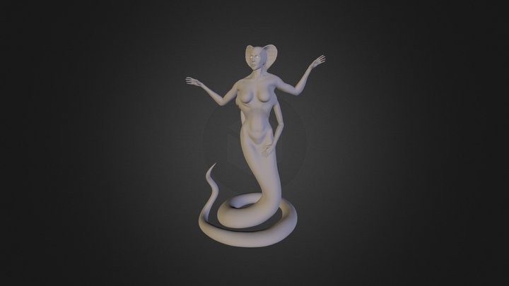 Echidna 3D Model
