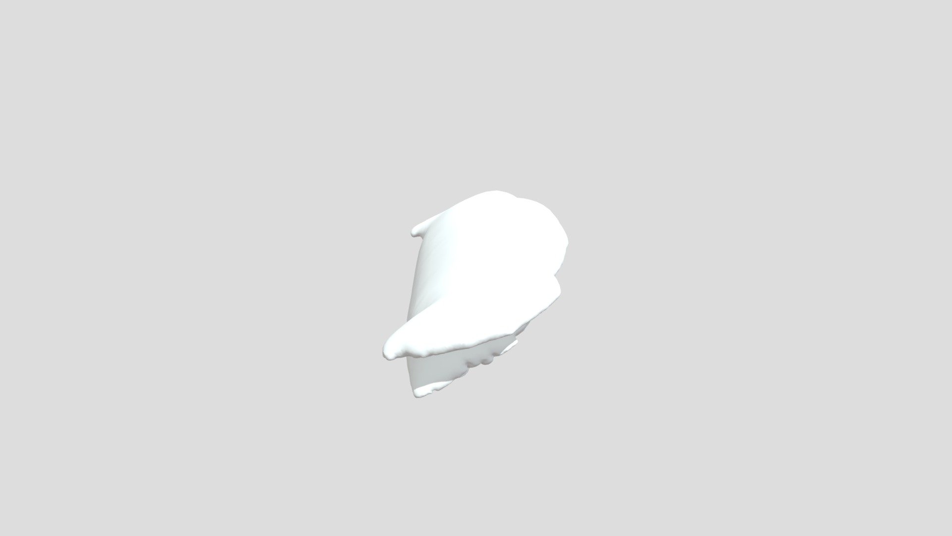 Test Scan 2024.05.01 - Download Free 3D model by Kyle.Cabatit [7e19667 ...