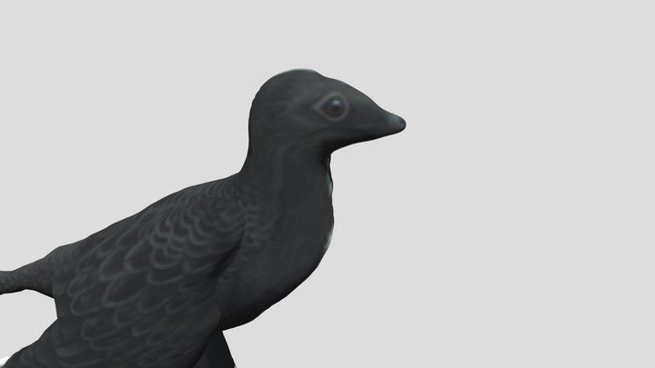Microraptor 3D Model