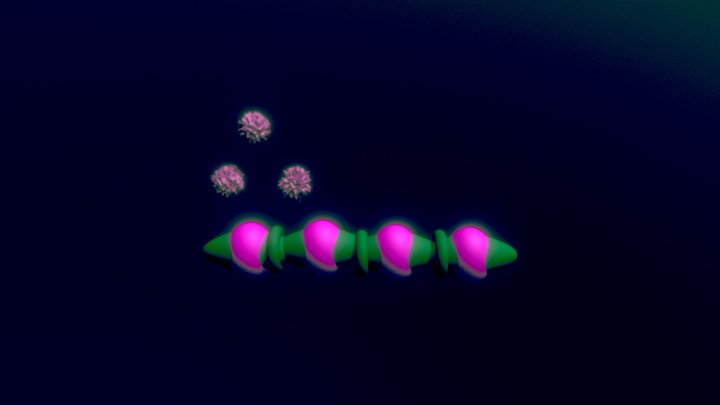 bacillus 3D Model