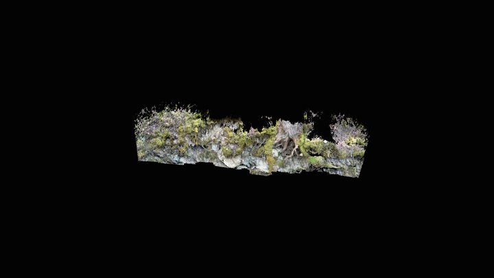 Untitled Scan 3D Model