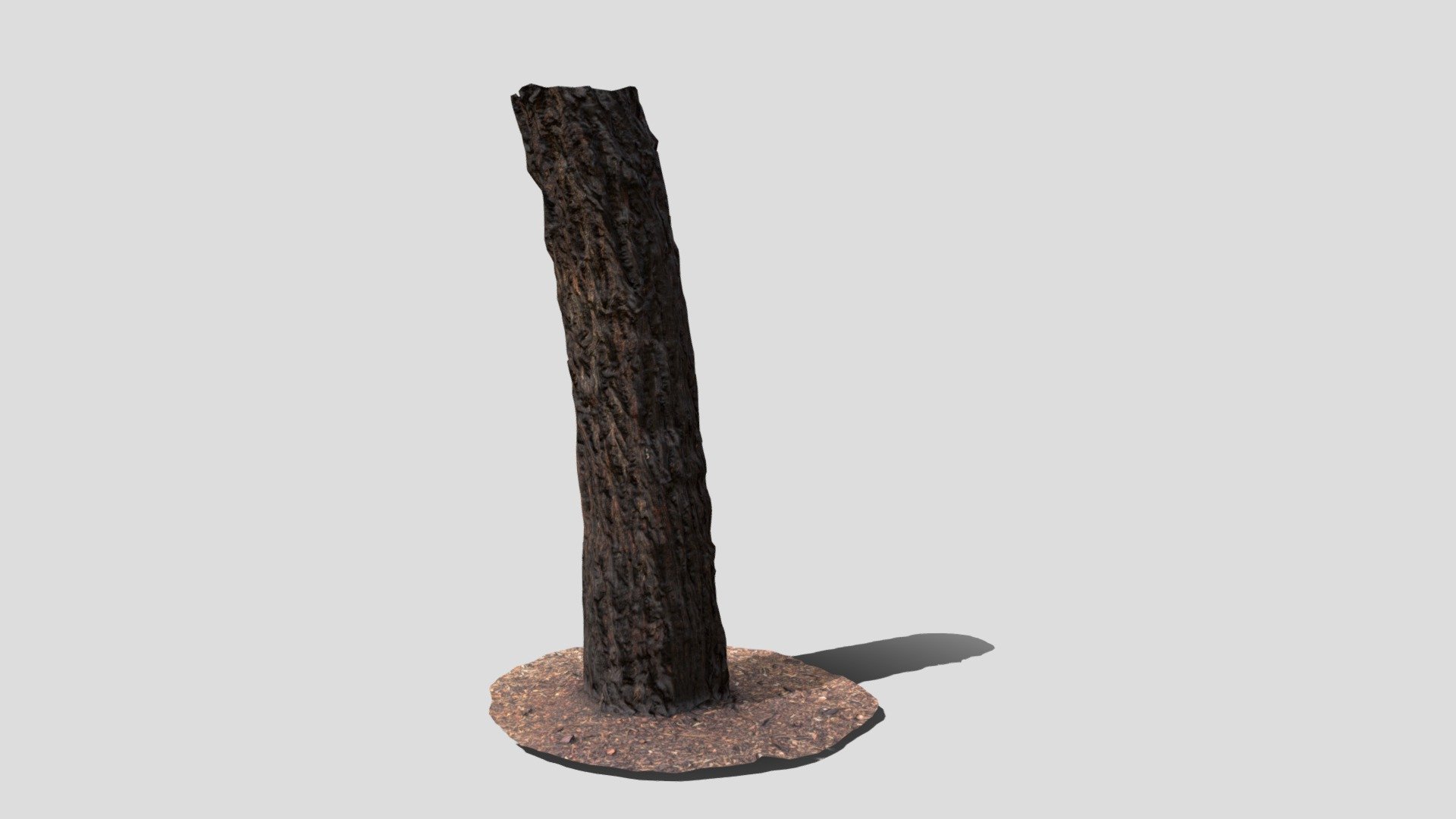 Black Eucalypt Trunk Midpoly — Sketchfab embed 3D viewer