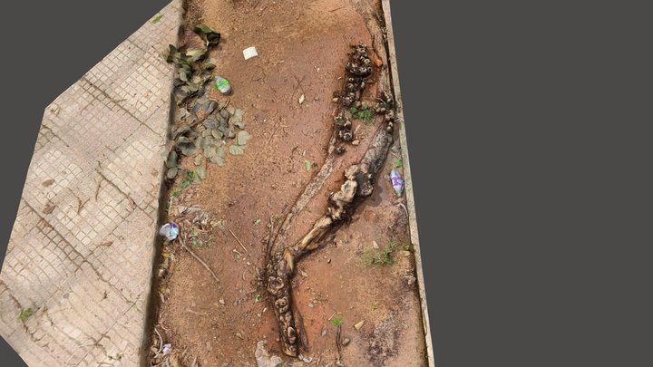 tree_roots – Gratis 3D-model STL