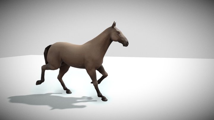 Horse Trot 3D Model