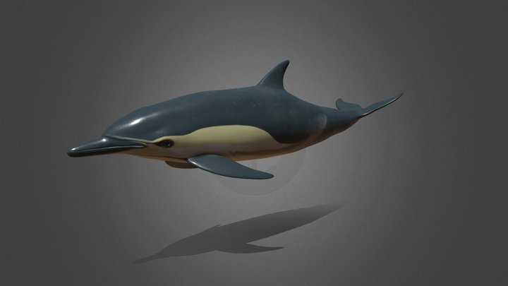Long-beaked dolphin 3D Model